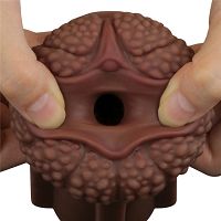 Vad Ále műpunci dobozban, élethű maszturbátor - 79475566 - 8