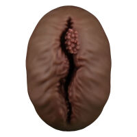 Alien's Pie barna mesterséges vagina maszturbátor férfiaknak - 74644456 - 3